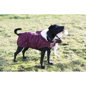 Hundtäcke Kentucky Dog Coat
