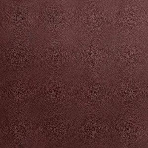 Erreplus färg dubbelt läder Cocoa (beställ som brun)